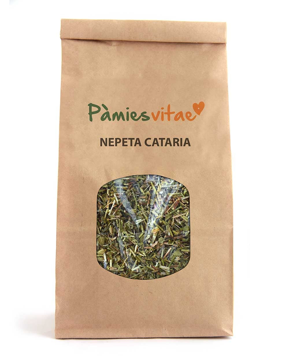 NEPETA CATARIA - Nepeta cataria