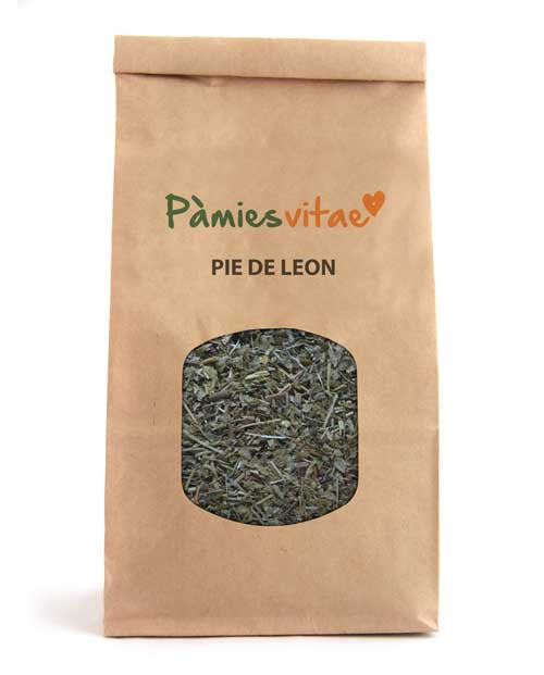 PEU DE LLEÓ/PIE DE LEÓN - Alchemilla vulgaris
