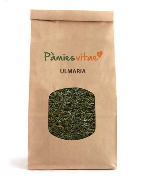 ULMÂRIA - Filipendula ulmaria