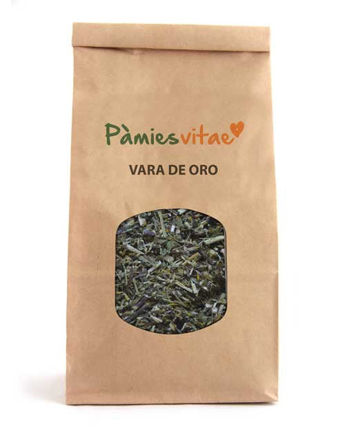 VARA D'OR - Solidago virgaurea