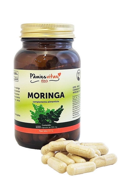MORINGA PV (100 càpsules)