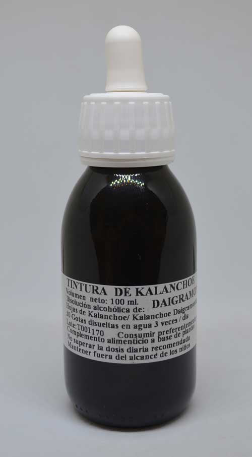 TINTURA DE KALANCHOE DAIGREMONTIANA (100 ml)