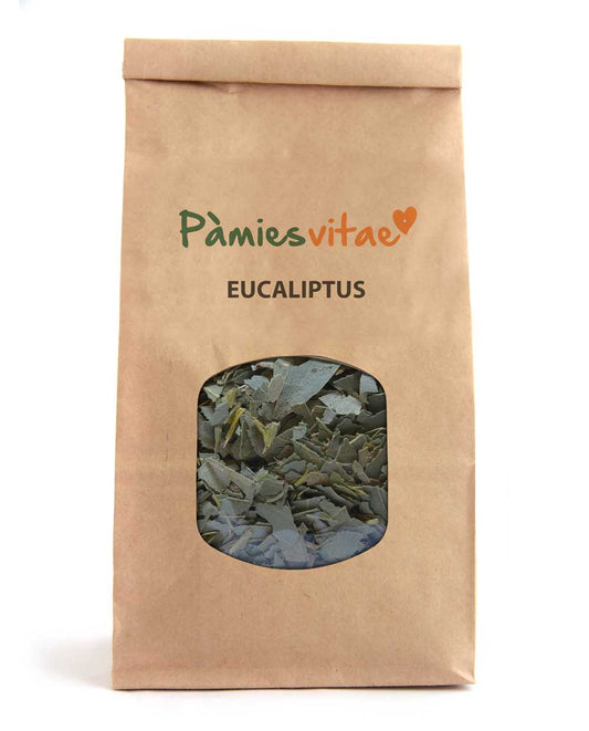 EUCALIPTUS - Eucalyptus globulus