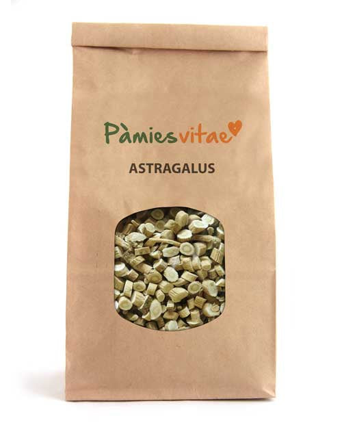 ASTRAGALUS - ARREL - Astragalus membranaceus