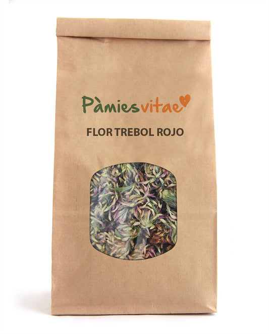 TREBOL VERMELL - FLOR - Trifolium pratenses