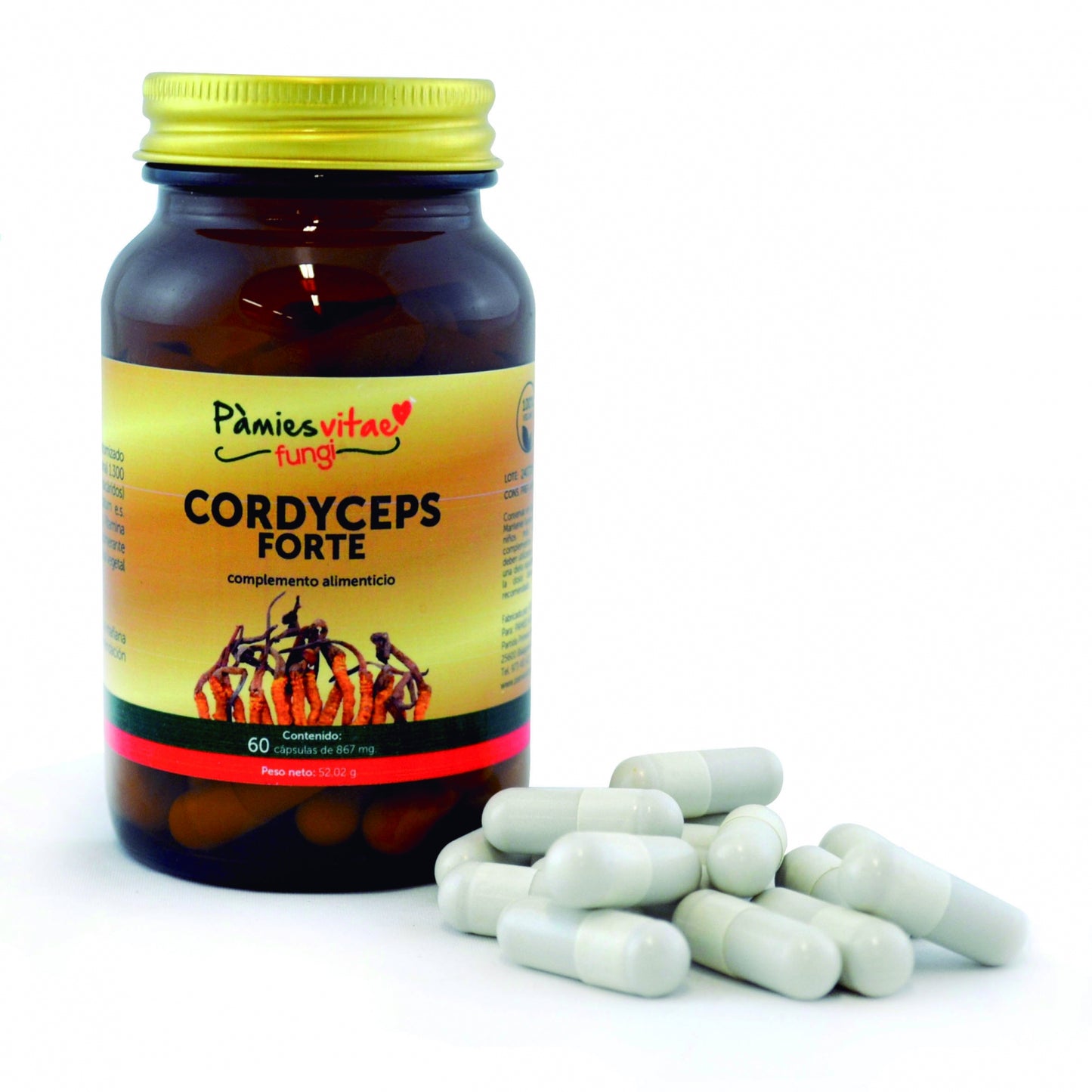 CORDYCEPS FORTE PV (60 cápsules)
