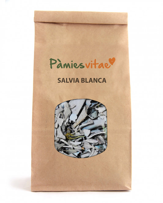 SALVIA BLANCA - Salvia apiana