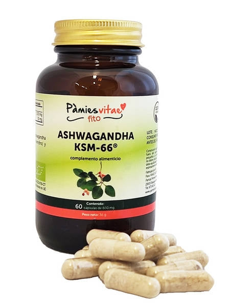 ASHWAGANDHA KSM-66 PV (60 cápsules)