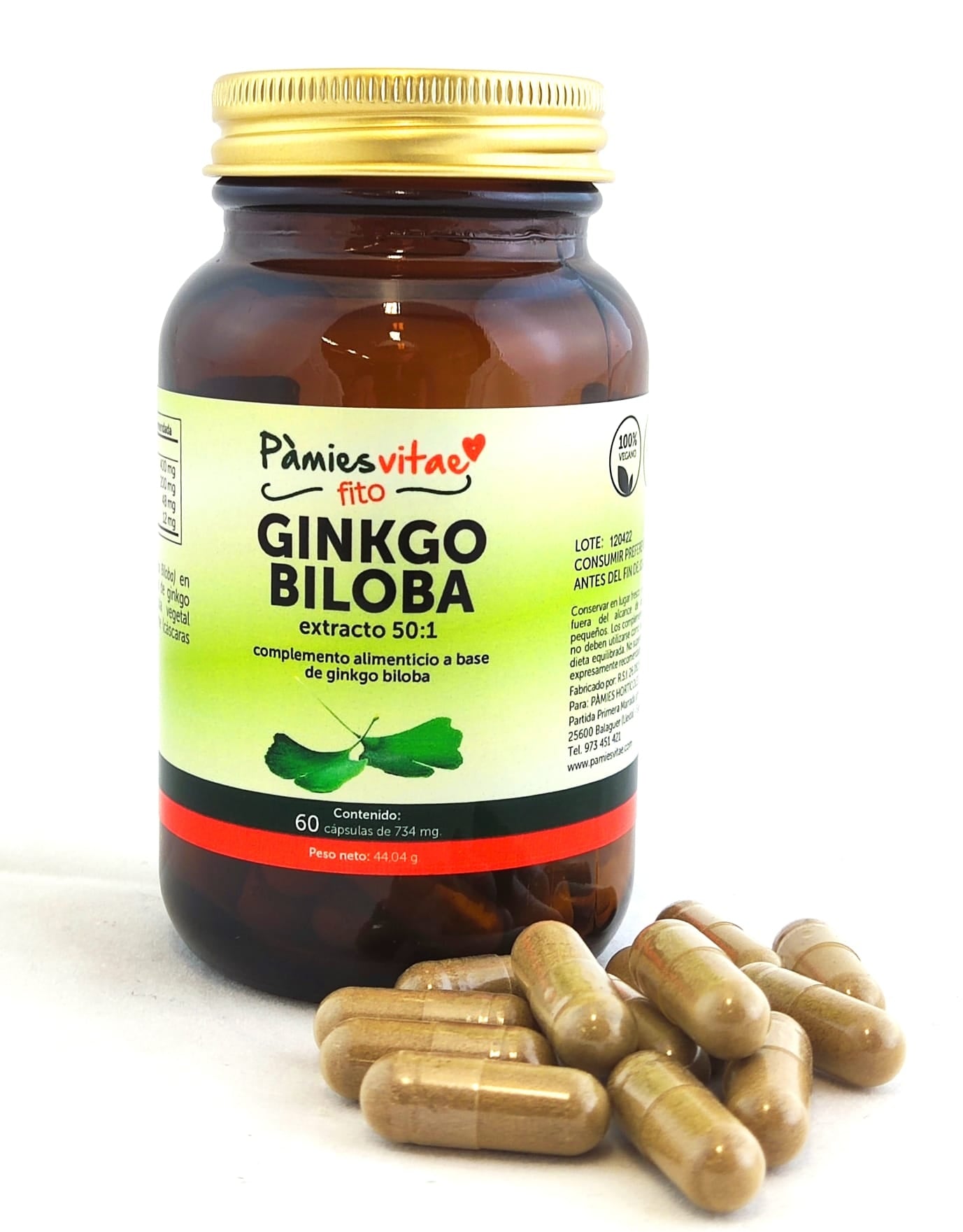 GINKGO BILOBA PV (60 cápsules)